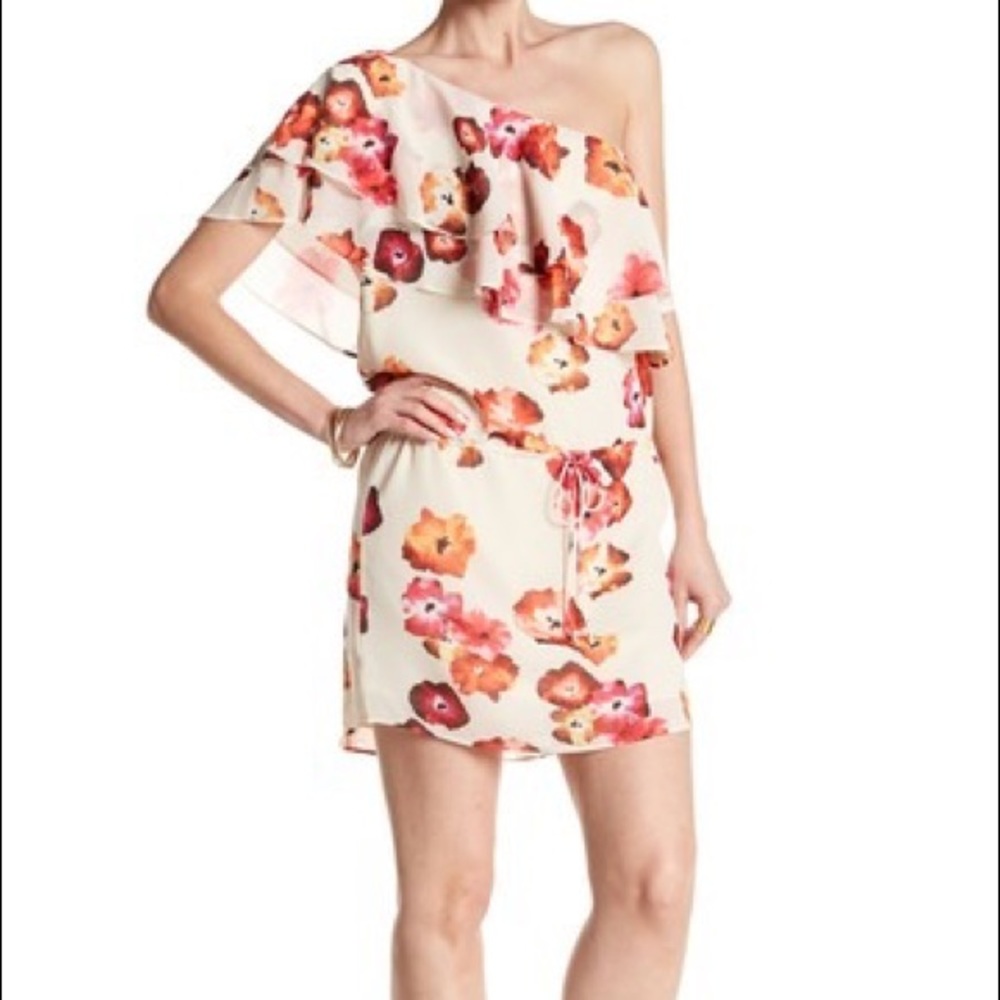 NWT Haute Hippie one Shoulder Floral Ruffle dress